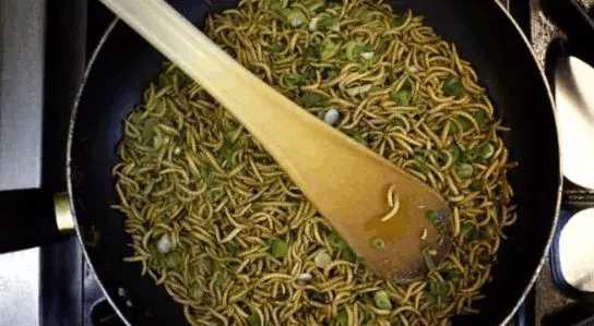 云南吃虫子全国闻名, 在中缅边境的菜市场比云南人吃虫子还牛