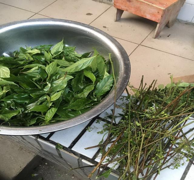 舌尖上的美食之柴豆腐的做法