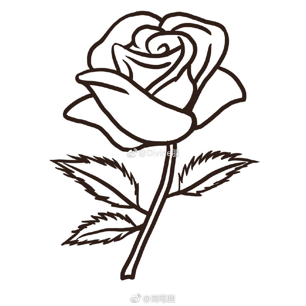 简笔画一支漂亮的玫瑰花bydivine朋