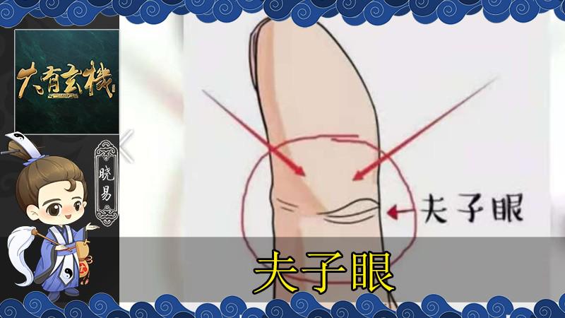 民间说的夫子眼和佛眼是一种纹路吗 揭秘手相中的财运信息