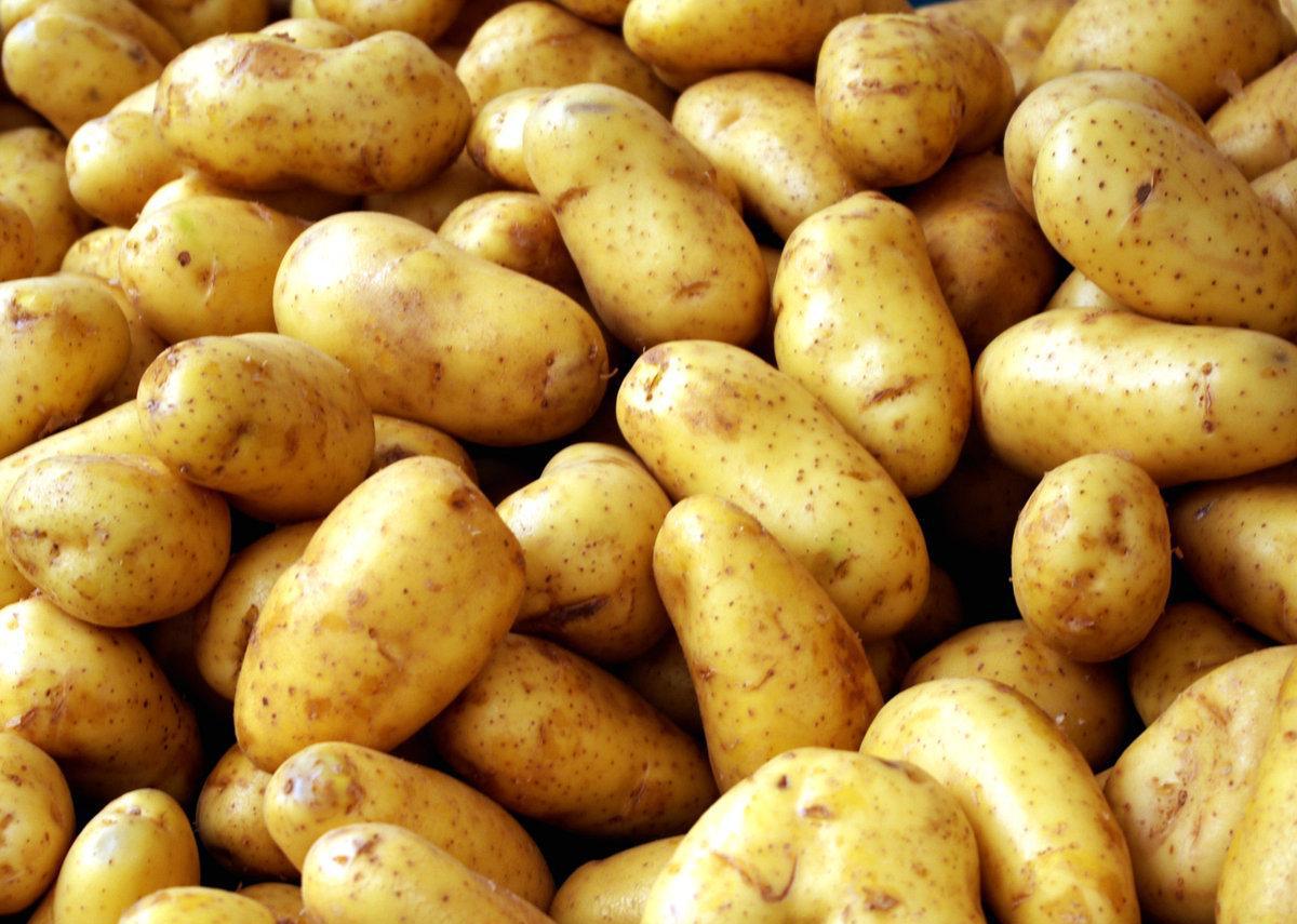 全球售价最高的十种食品, 中国有一款上榜|土豆|雄蕊|鱼子酱_新浪新闻