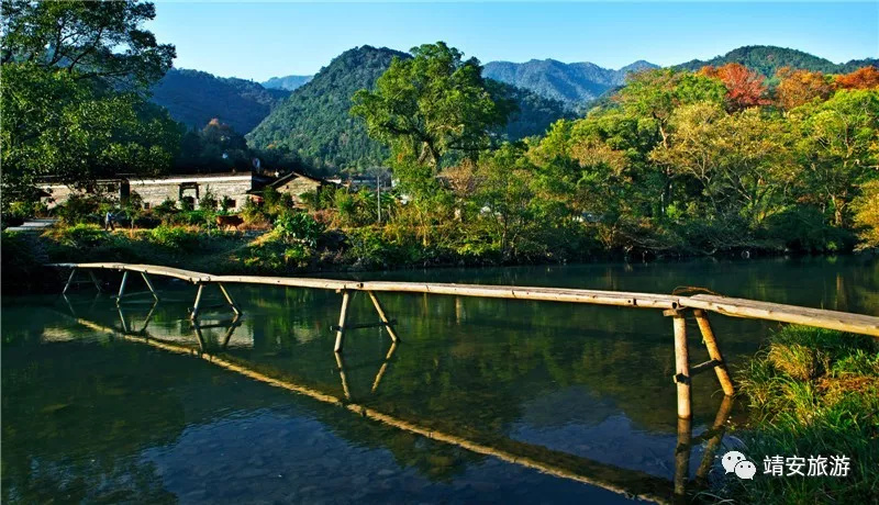 春游好去处靖安包家古村包不住的满园春色