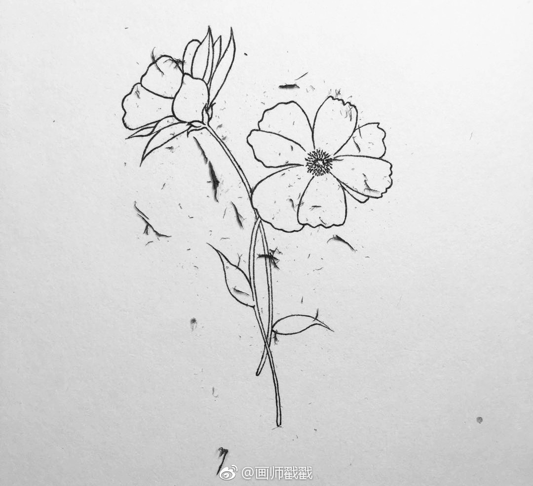 手绘两只花发步骤给小画家们参考一下哦欢迎评论欢迎跟画