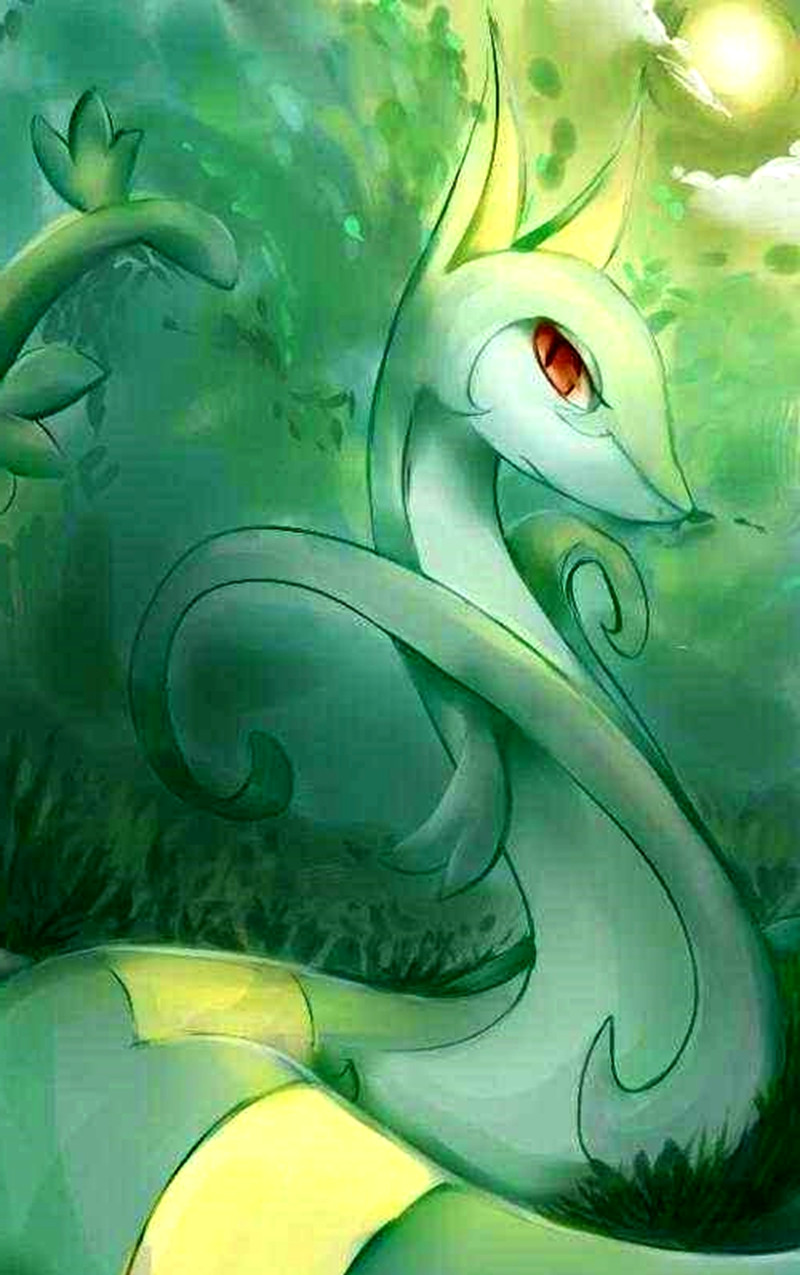 宠物小精灵,女神级别的神奇宝贝,你最想拥有哪一只