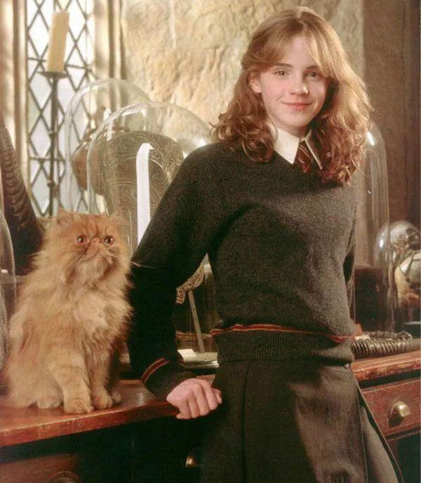 哈利波特|魔杖|韦斯莱_新浪新闻