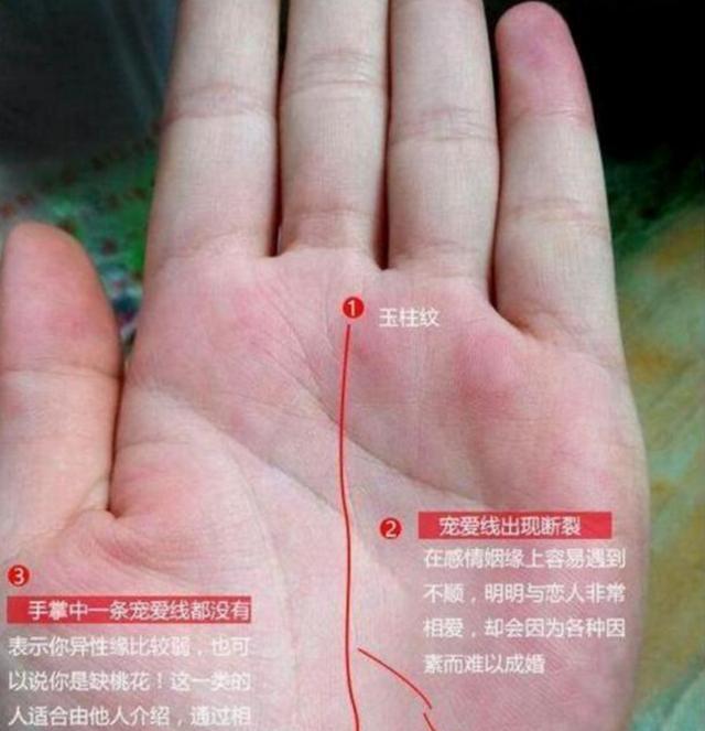 手相|玉柱|金龟婿_新浪新闻