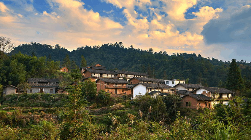大山里老人守着整个村庄, 称不想孩子们有家却不能回|村庄|老人|村子_