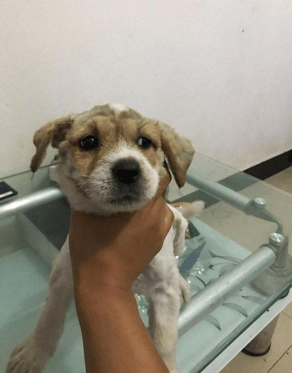 当时的我看到后,冷静擦了擦汗,内心在想,这tm到底是什么人,个个都是