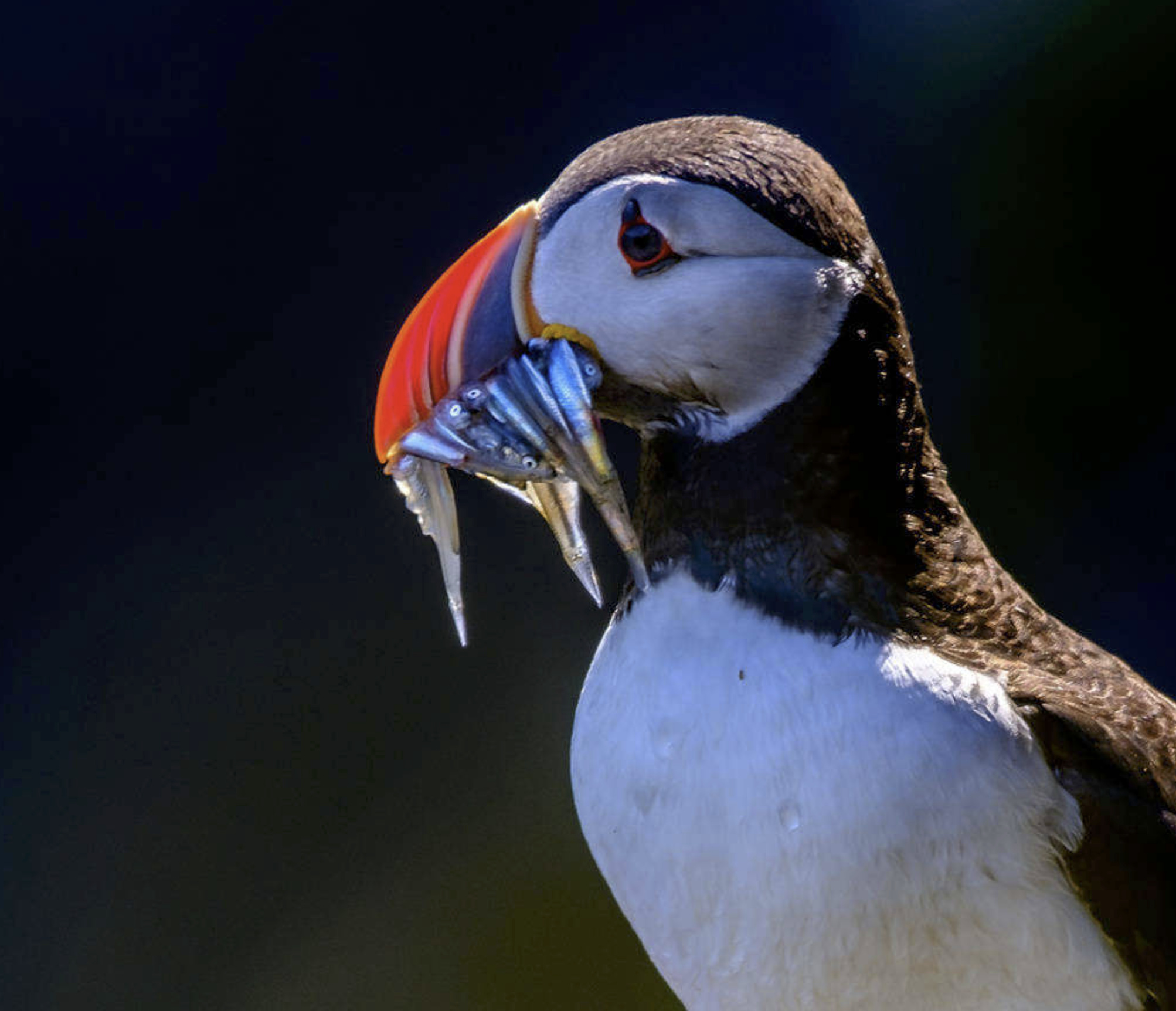 分享今天部落精选好作品今天有2名摄影师收到了图片库约片邀请