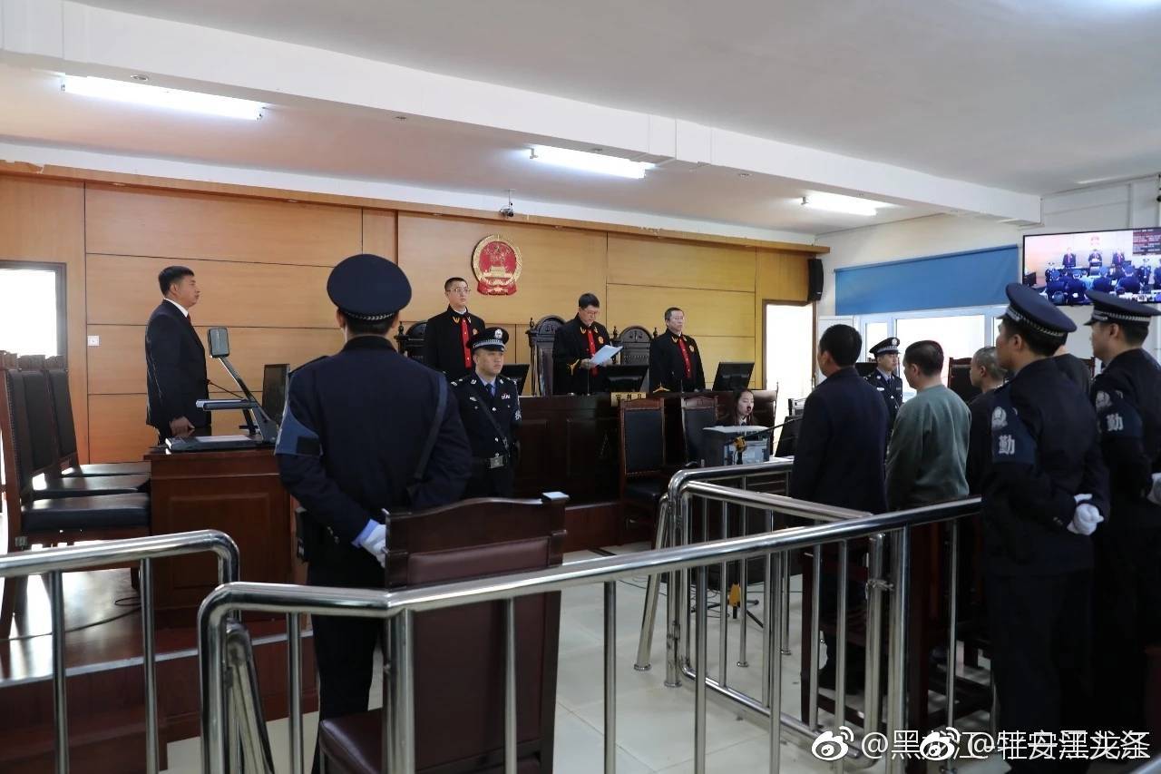 黑恶势力犯罪案件分别在哈尔滨,齐齐哈尔,牡丹江,佳木斯,大庆,双鸭山