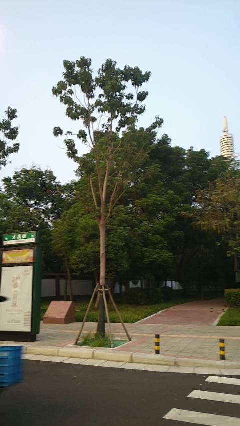 郑州爆料 最近很火的郑州网红地,有朋友知道在