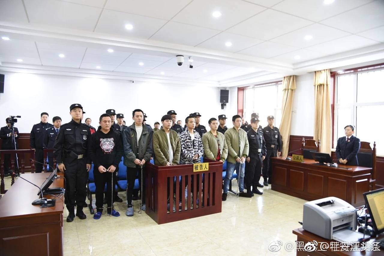 犯罪案件分别在哈尔滨,齐齐哈尔,牡丹江,佳木斯,大庆,双鸭山,七台河