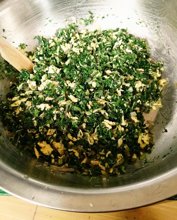 这东西是春天的野菜王拿来包饺子补钙抗癌不懂吃可惜了