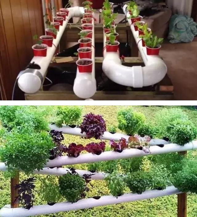 水管种菜方法图片