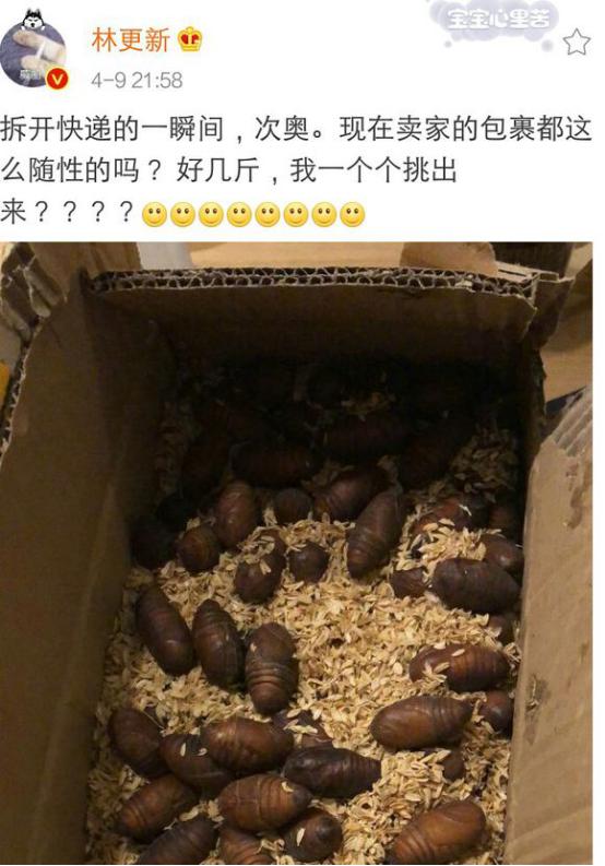 林更新怎么这么搞笑!网购蚕蛹还给卖家物流打一颗星!