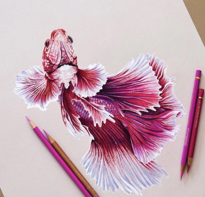 什么是一幅好画呢先要体会它的整体神韵然后是笔墨趣味