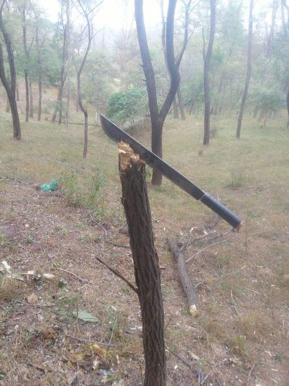 越战时美军在越南丛林吃瘪发明一种新战刀没想到后来风靡世界