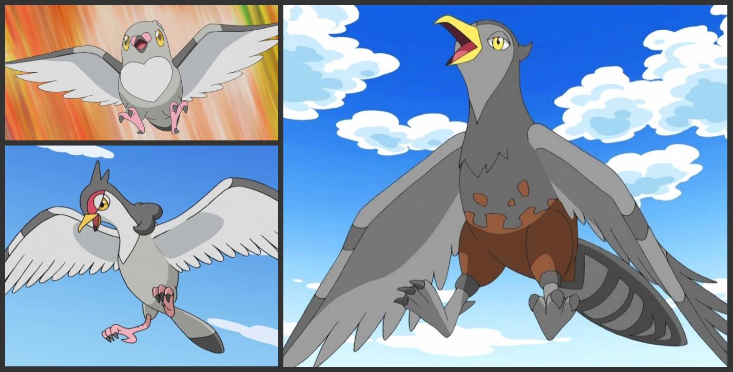 一开始是小智跟艾莉丝赌气收服的豆豆鸽,后来慢慢进化成高傲雉鸡.