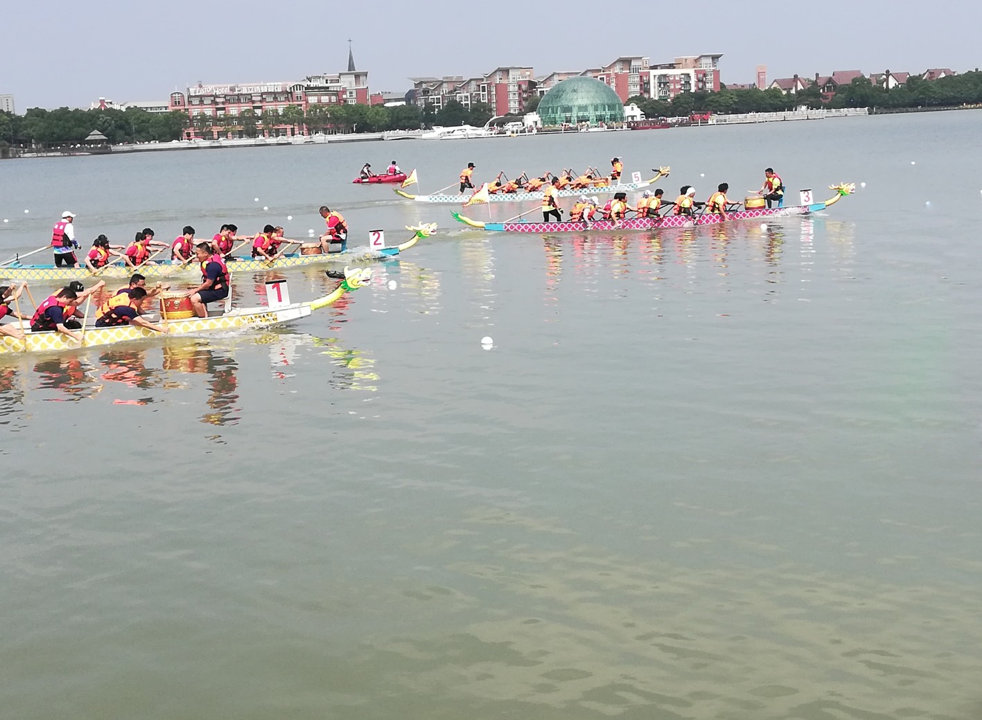 道滘抖音SEO排名