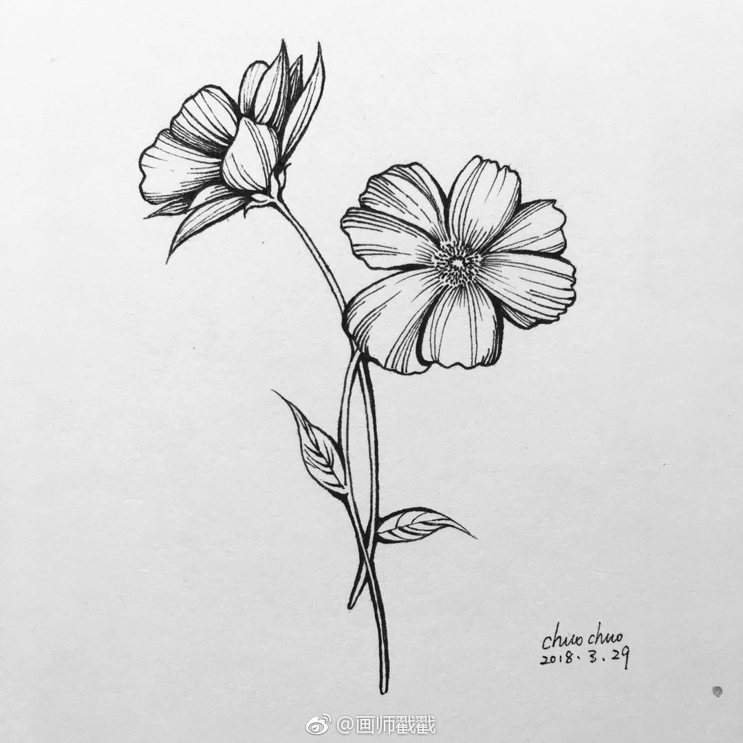 手绘两只花发步骤给小画家们参考一下哦欢迎评论欢迎跟画