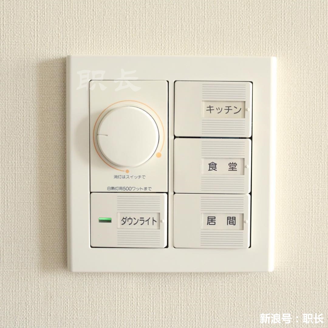 为啥日本开关的按钮可以"换名称"?而我们的要手写