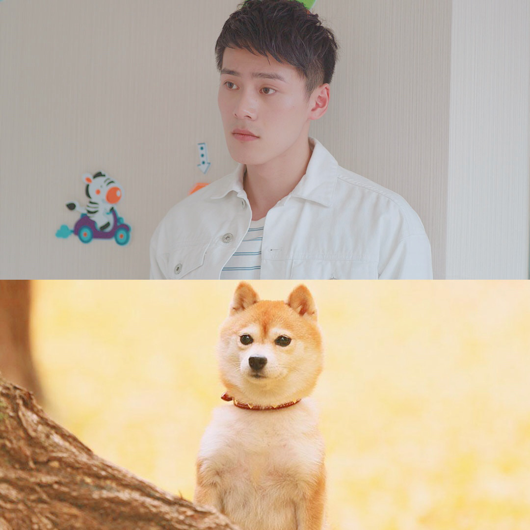 腹肌能力者,好身材圈粉无数,徐静蕾力捧新男主朱致灵我pick了!