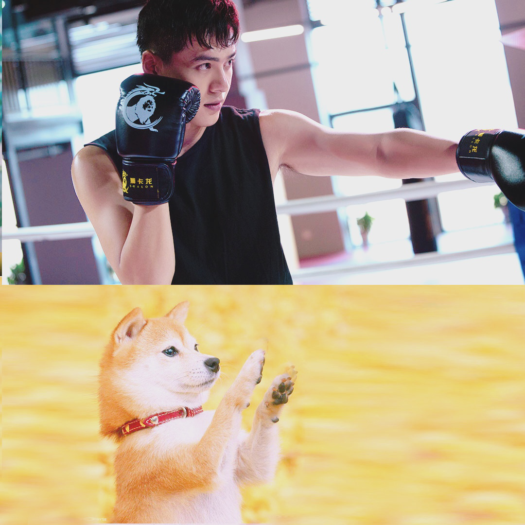 腹肌能力者,好身材圈粉无数,徐静蕾力捧新男主朱致灵我pick了!