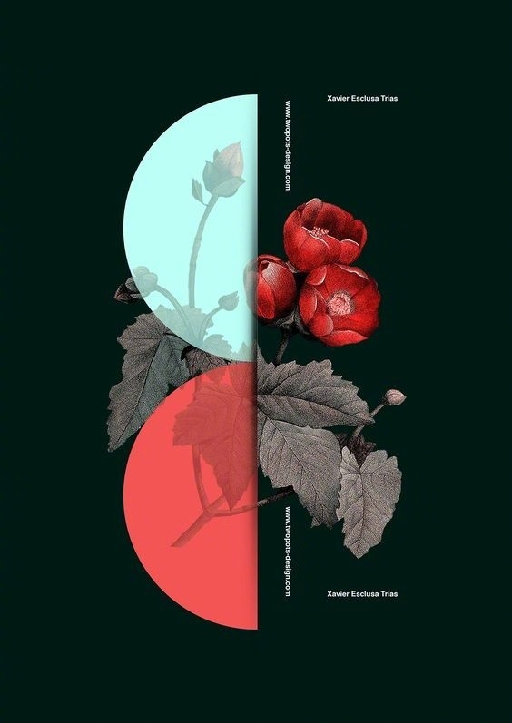 左右构图版式设计