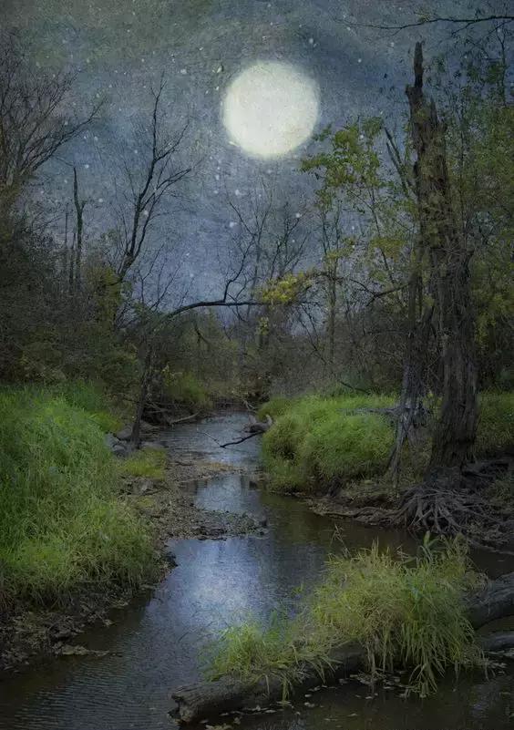 桥上的月光,醉人的夜色|月光|月儿|今生今世_新浪新闻