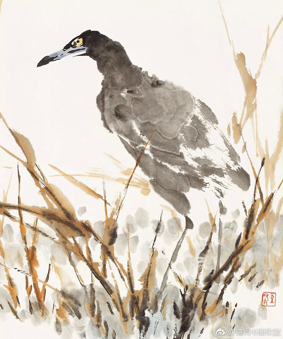 写意禽鸟图欣赏(二),大美了!