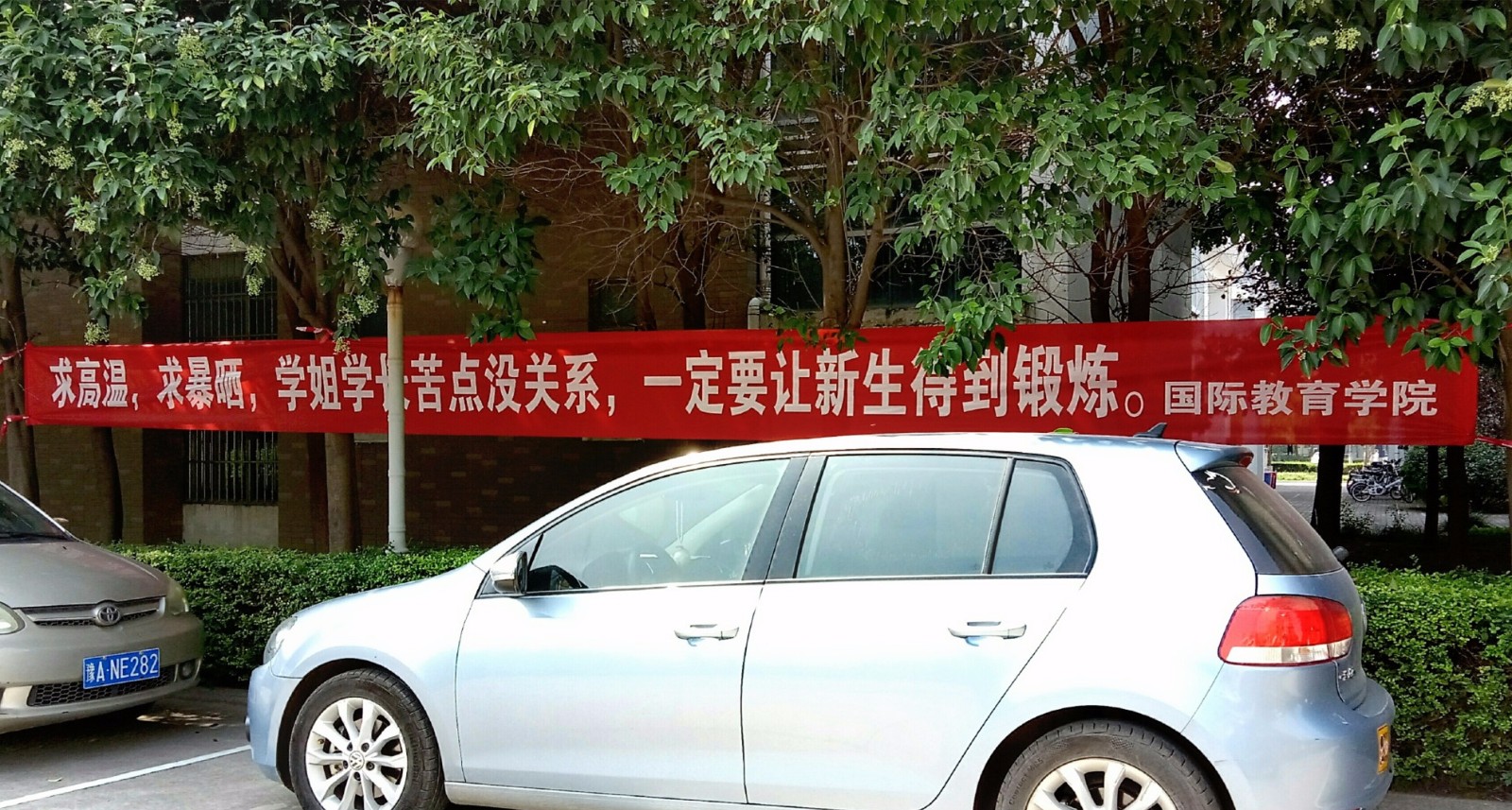 这还不算啥,另一条横幅更有创意:求高温,求暴晒,学姐学长苦点没关系