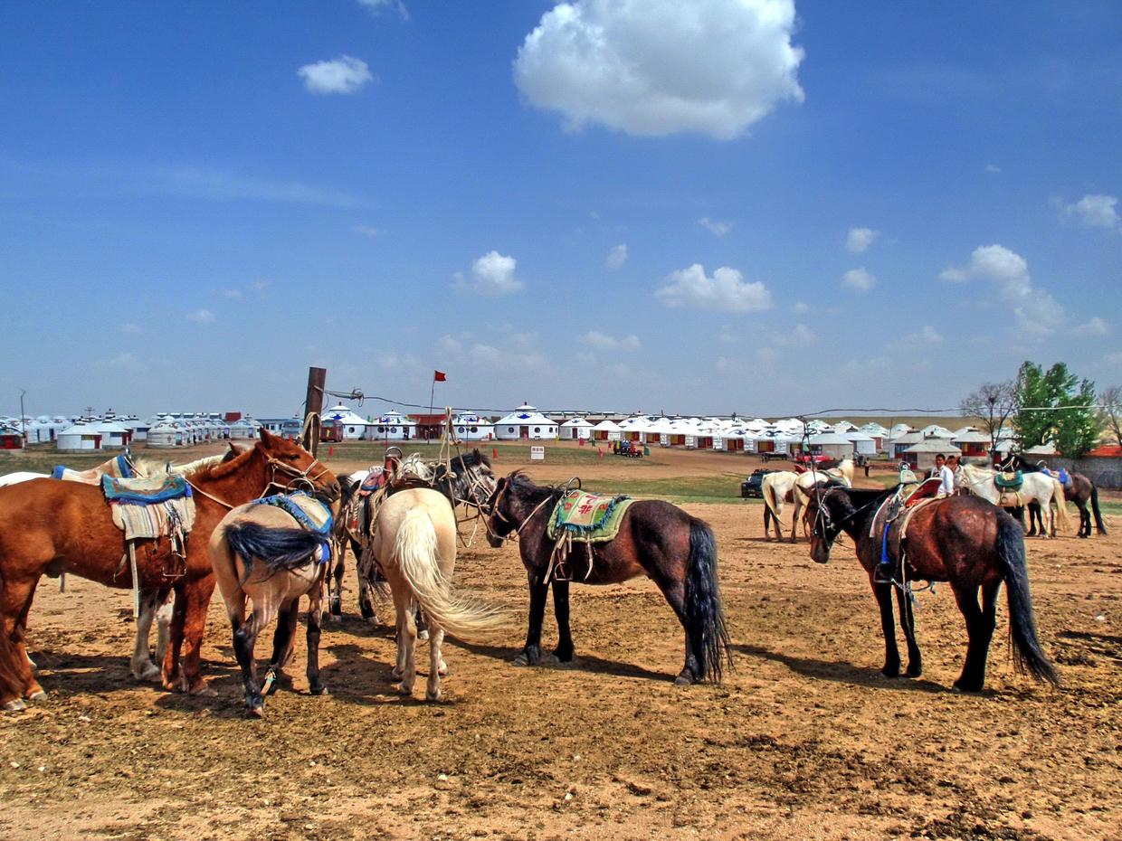 内蒙旅游必去10大景点自驾(内蒙旅游必去10大景点自驾路线) - 展心百
