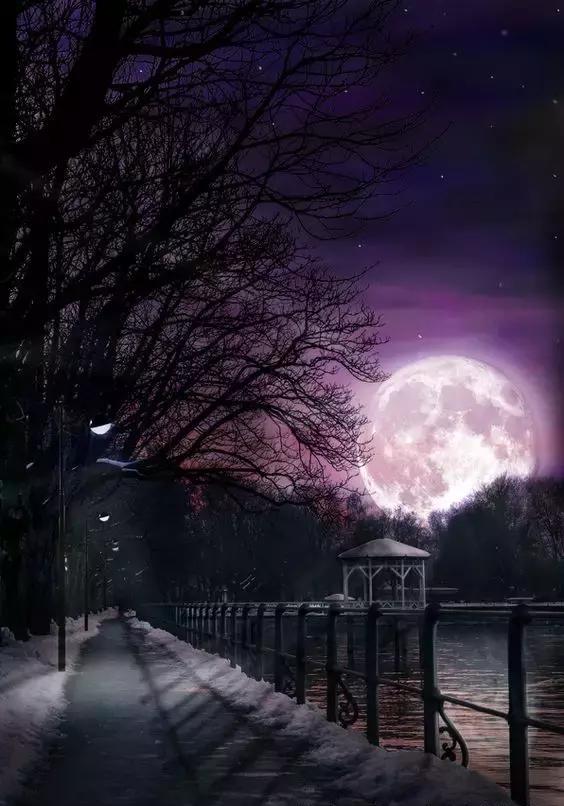 桥上的月光,醉人的夜色