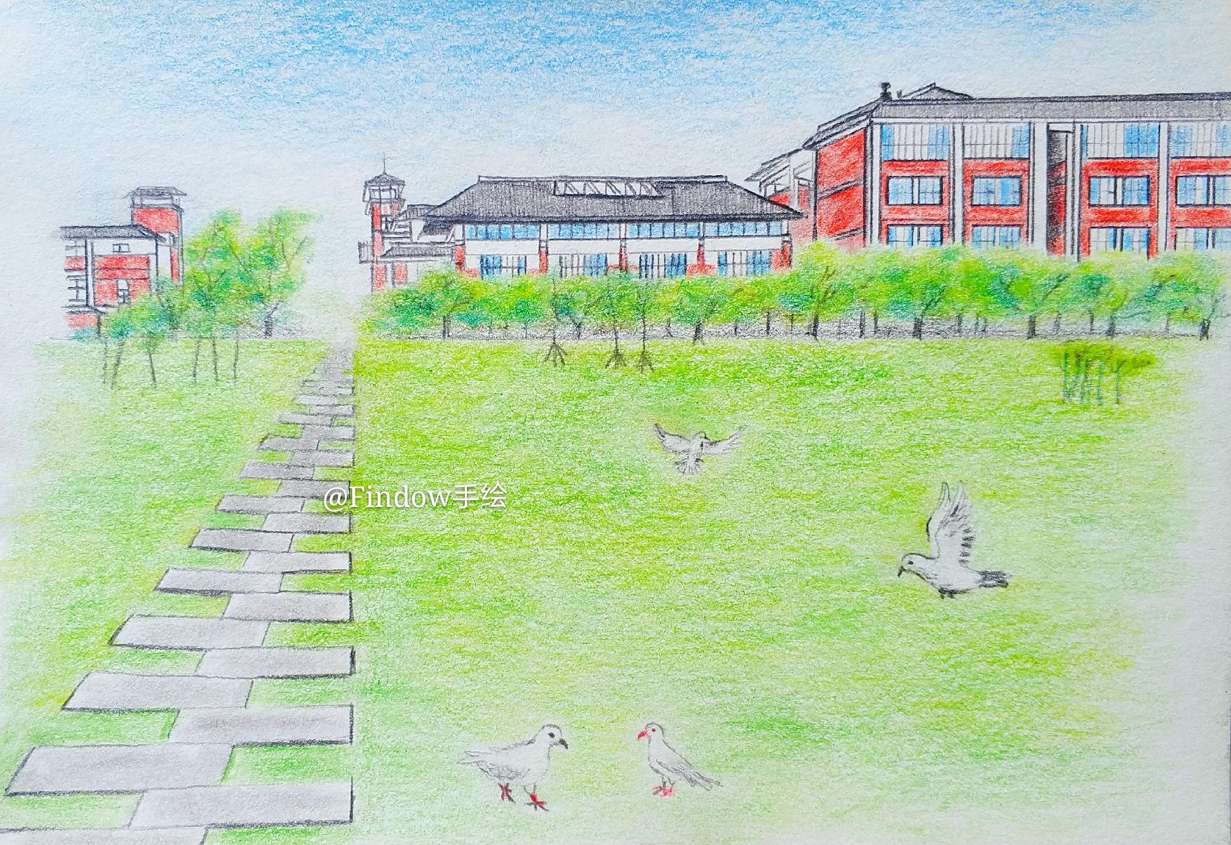 个人非常喜欢并手绘了一组|彩铅|校园|重庆_新浪新闻