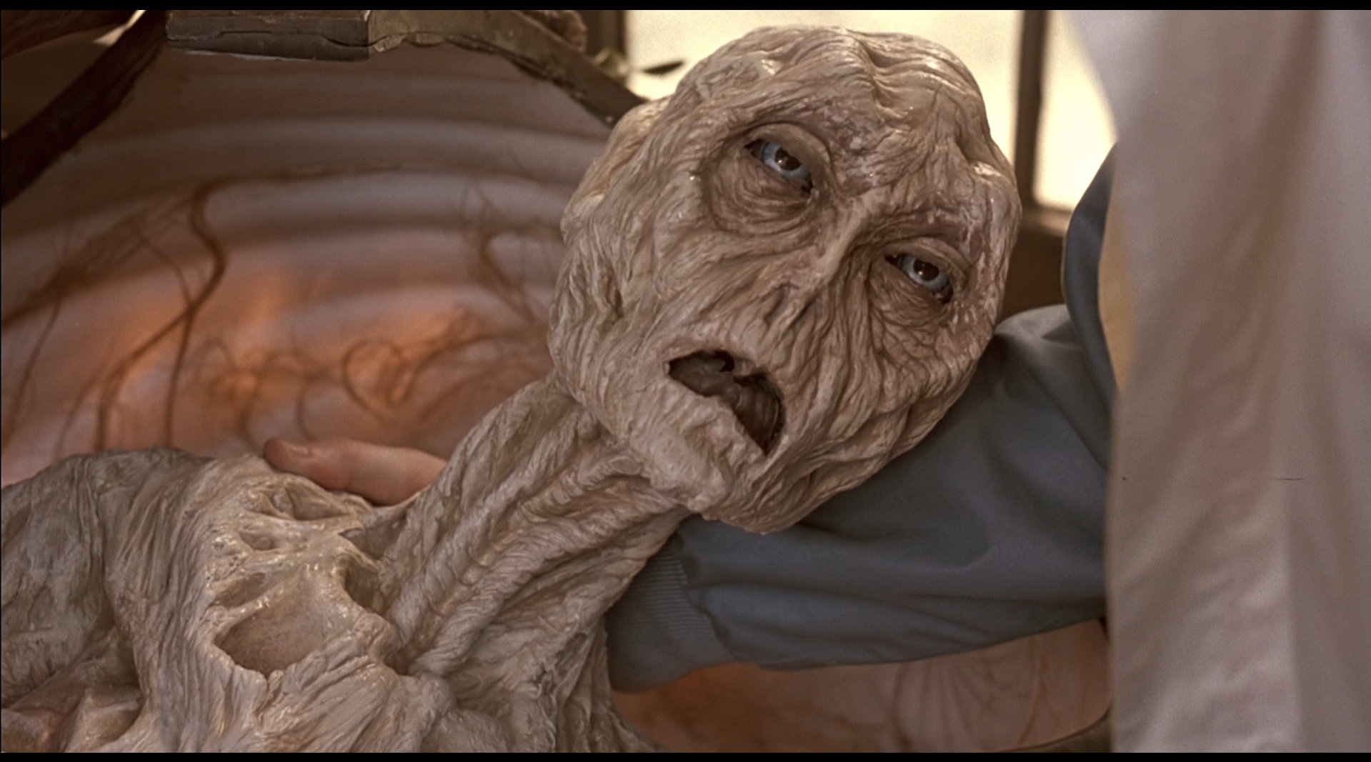 一群老人吸收到外星人的能量,竟然可以返回还童,结局让人意外 电影 魔