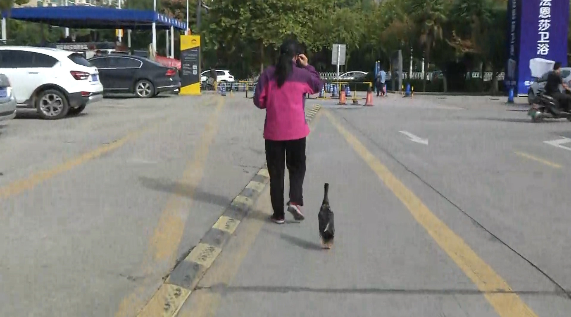 女子与狗同吃同睡,三个月后肚子疼,检查结果令