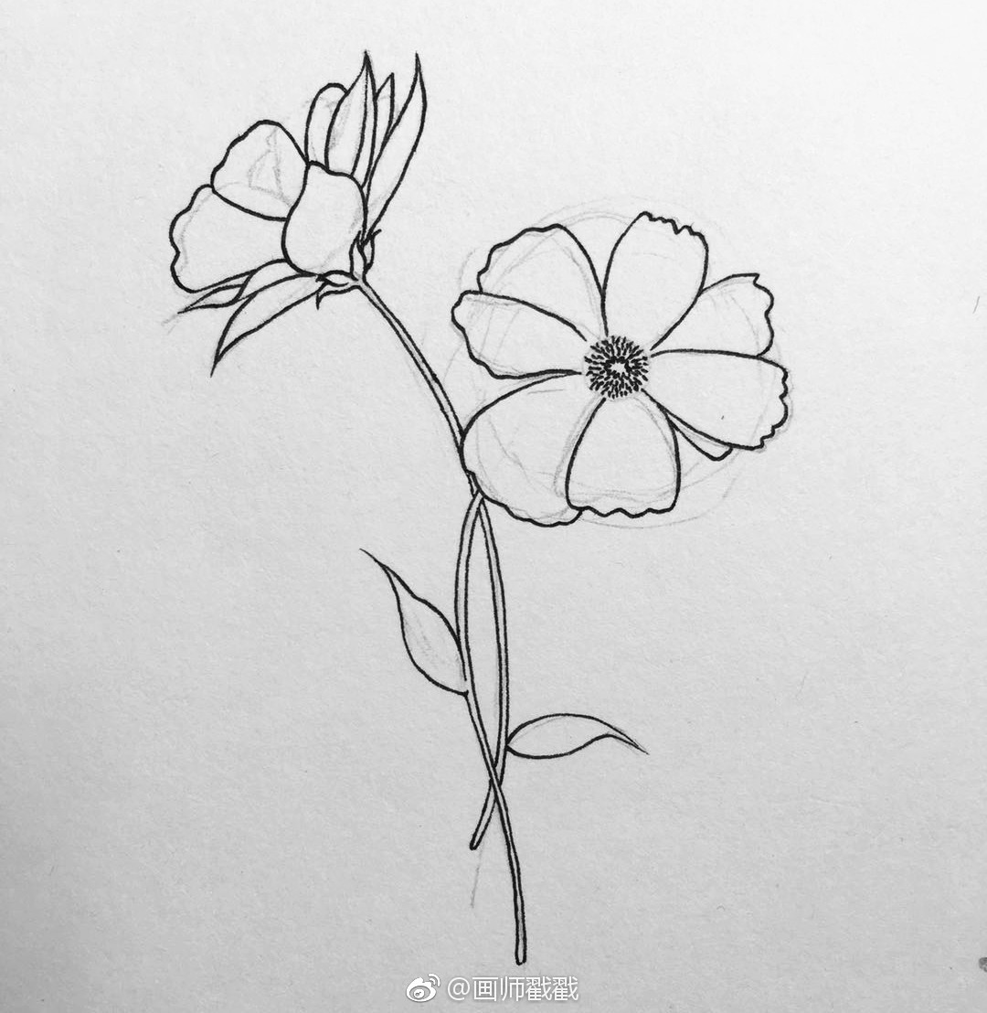 手绘两只花发步骤给小画家们参考一下哦欢迎评论欢迎跟画