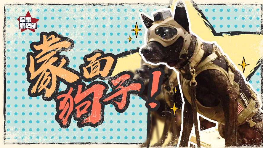 闪亮的氪金狗眼~k9战术狗头套装,战术军犬了解一下