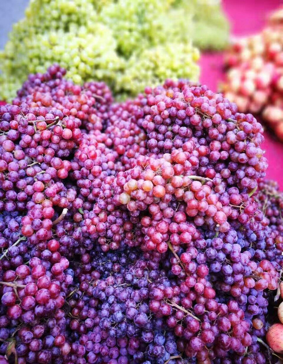 现在最适合去新疆瓜果飘香秋色惊艳