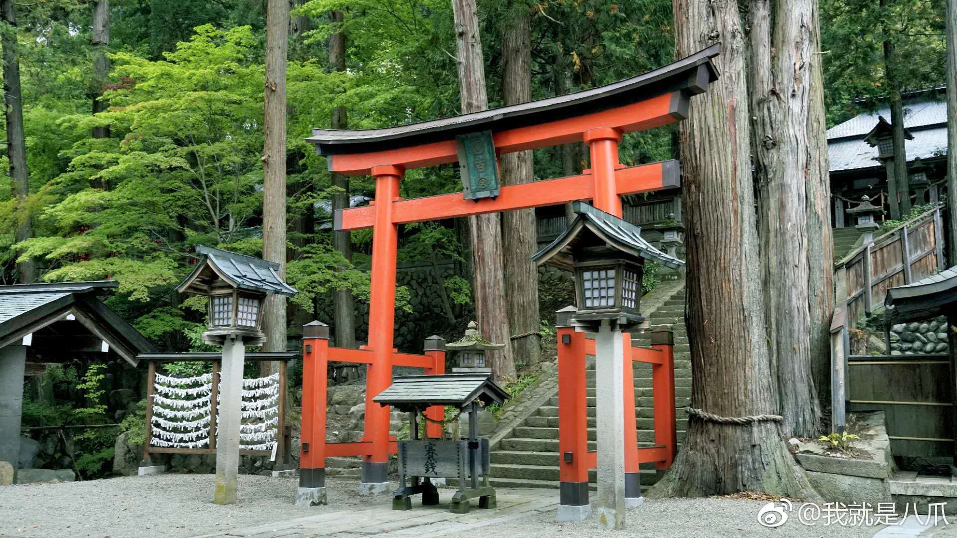 存在于 中的宫水神社 现实中其实是从几座神社的综合取景 存在于 中的宫水神社 现实中其实是从几座神社的综合取景