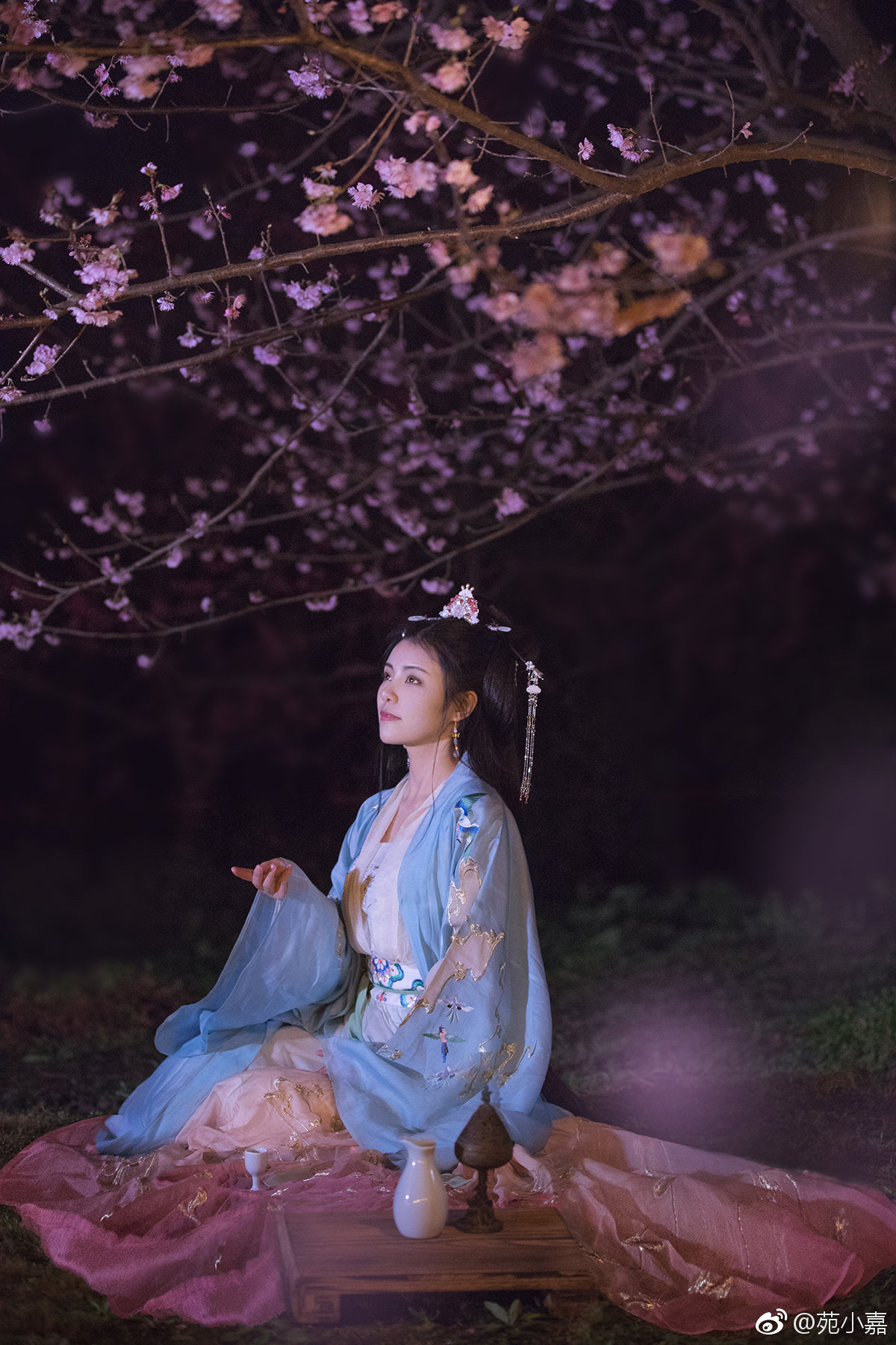 我有一枝花，斟我些儿酒|一枝花|喵喵|游园_新浪新闻