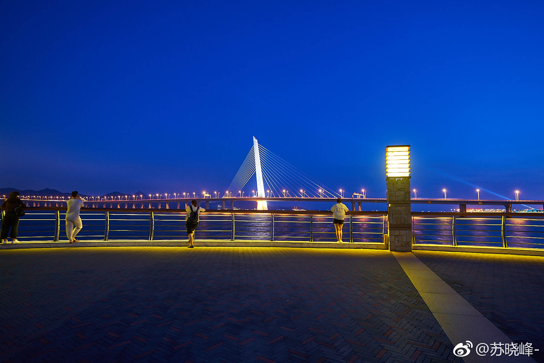 深圳湾的迷人夜色