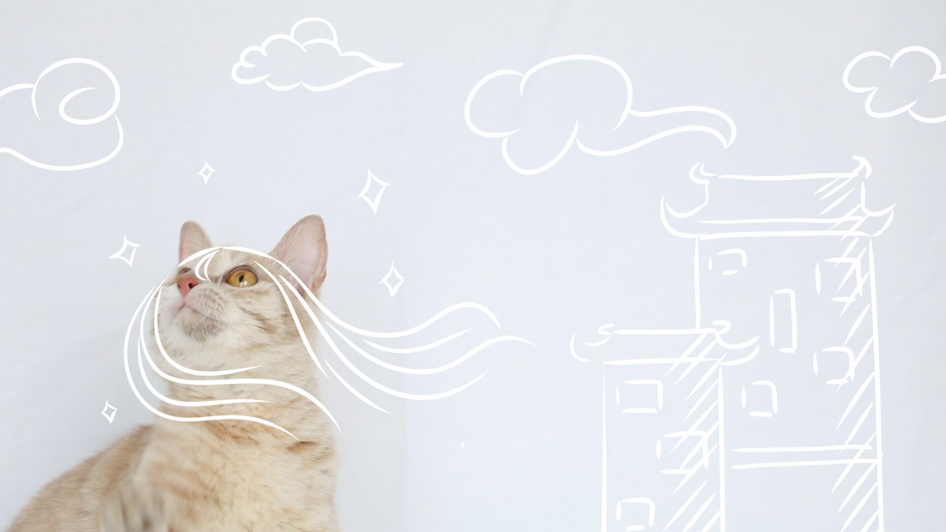 偏心的喵画师和猫耳朵把空降兵"发财"包装的这么美.