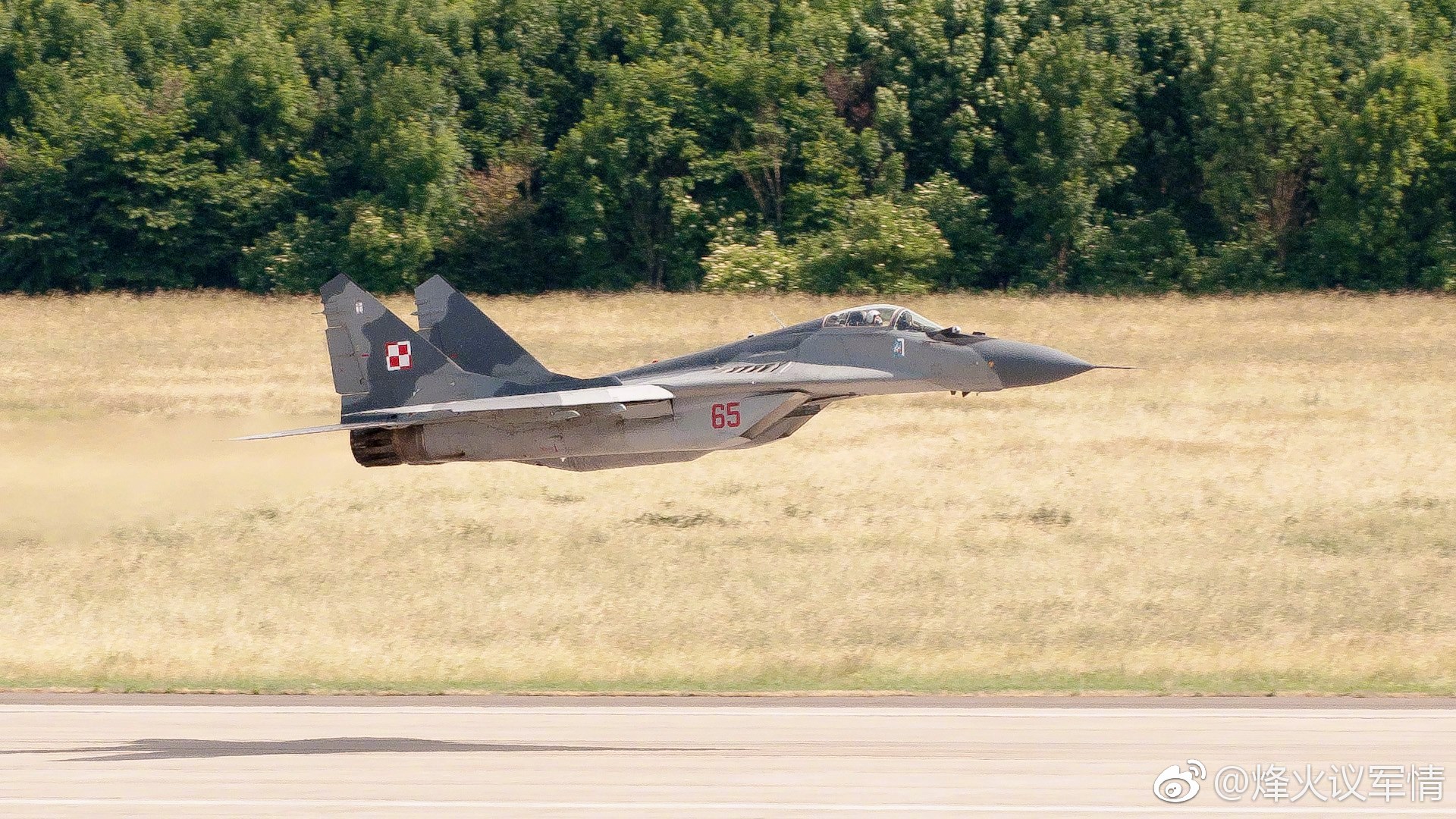 贴地飞行的波兰空军米格29和苏22