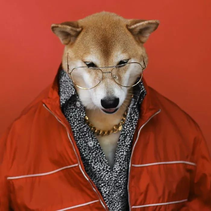 社会狗,戴金链,气势不凡