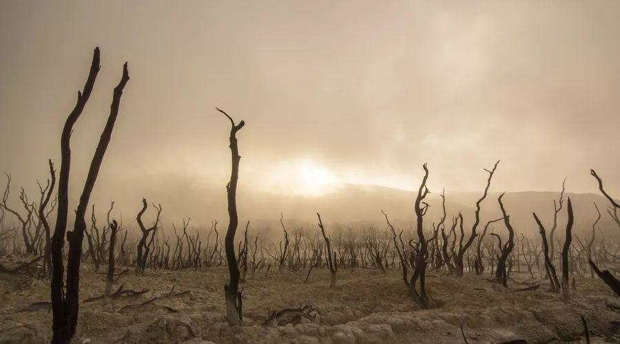 人死前有什么预兆吗死后会去哪里