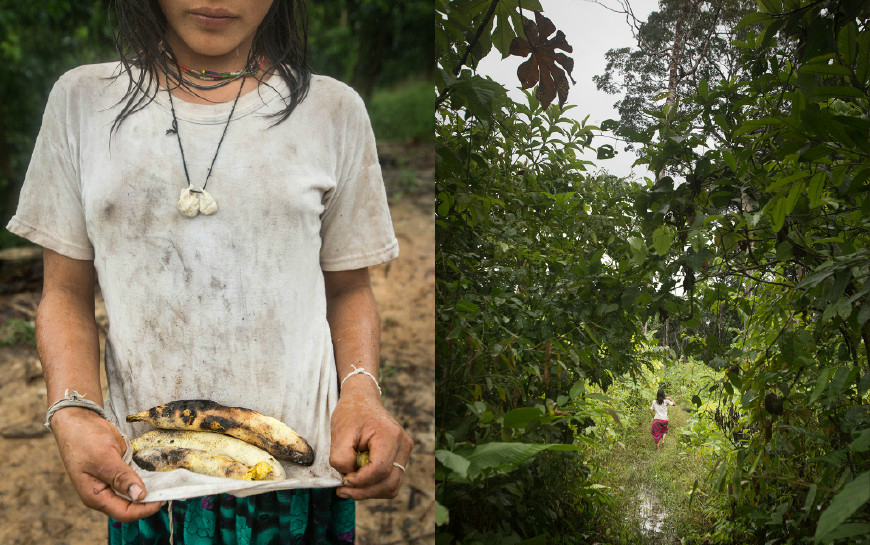 直击亚马逊丛林里土著人的真实生活刀耕火耘整天吃山珍野味