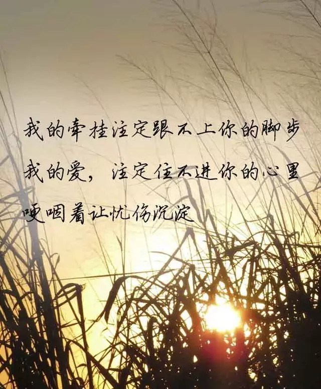 总有那么一个人想忘记却无能为力