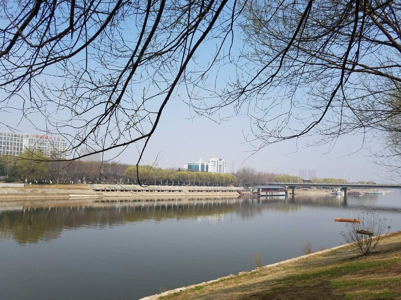 春风十里 我在沙澧河景区等你_新浪看点