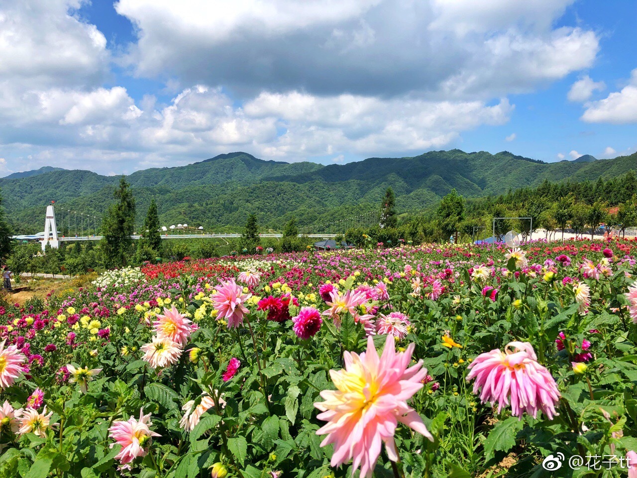 石柱的云中花都太美啦!昨天小伙伴说我太会选避暑胜地我还不太理解